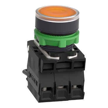 XB5AW25G5 Schneider