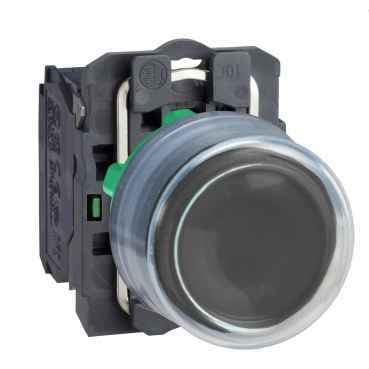 XB5AP21 Schneider