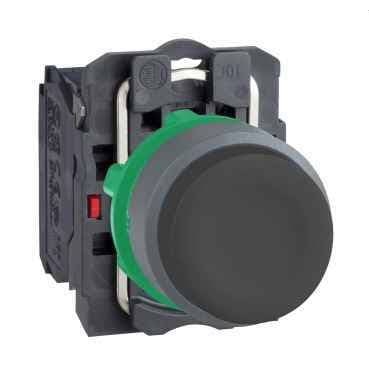 XB5AP21C0 Schneider