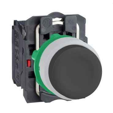 XB5AP21C1 Schneider