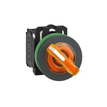 XB5FK125B5 Schneider