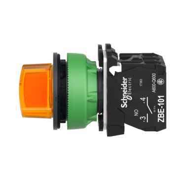 XB5FK125G5 Schneider