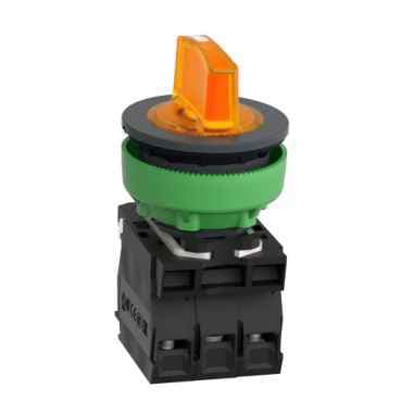 XB5FK135G5 Schneider