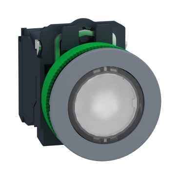 XB5FWCUST02 Schneider