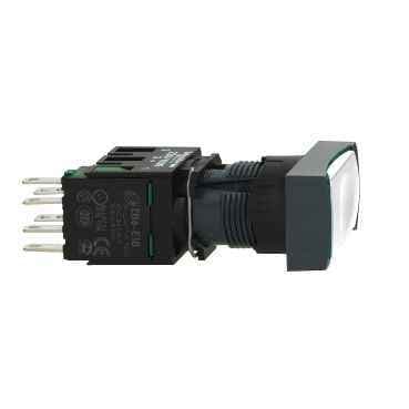 XB6DW1G1B Schneider