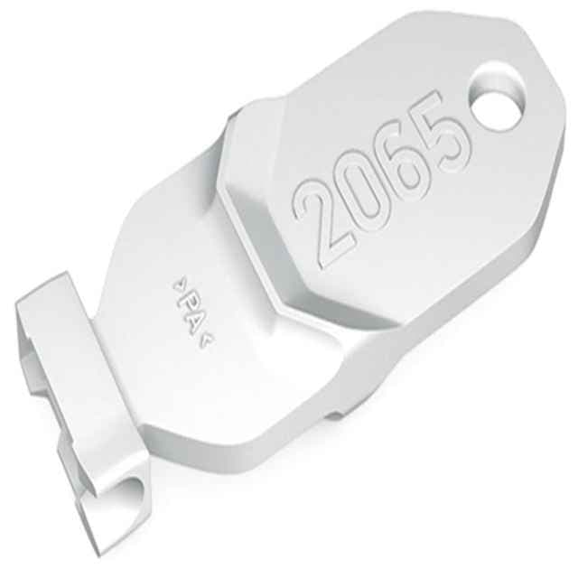 2065-189 WAGO
